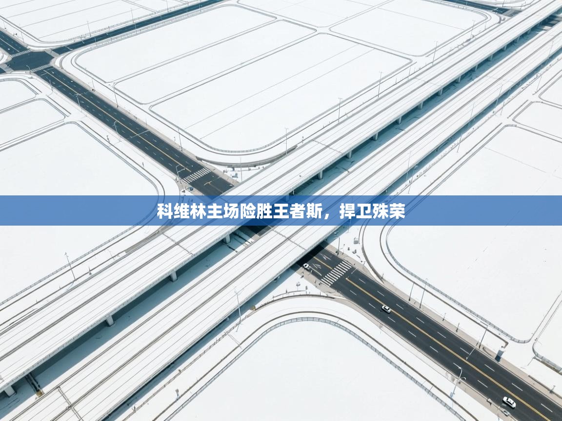 科维林主场险胜王者斯，捍卫殊荣