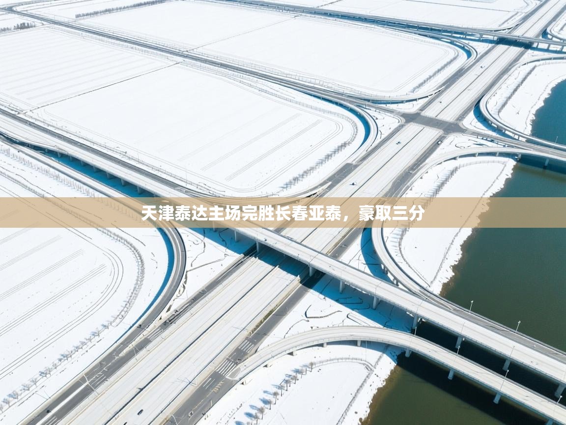 天津泰达主场完胜长春亚泰,豪取三分