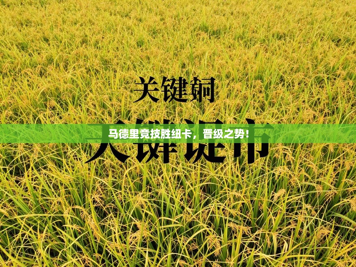 马德里竞技胜纽卡，晋级之势！