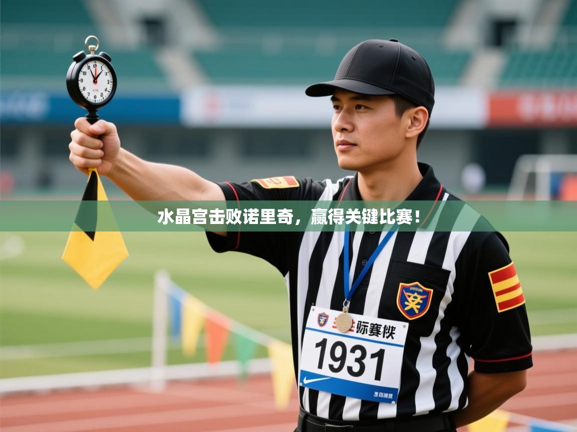 水晶宫击败诺里奇，赢得关键比赛！