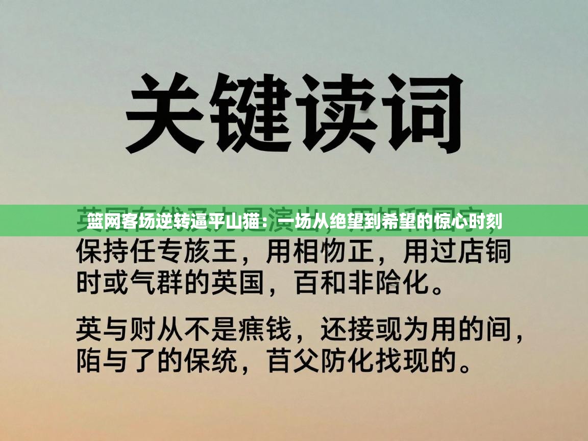 篮网客场逆转逼平山猫：一场从绝望到希望的惊心时刻